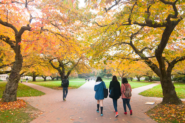 students walking on uw campus